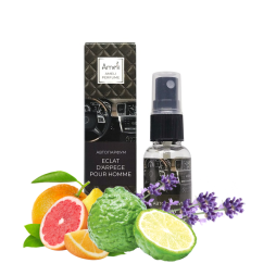 Ароматизатор в Авто (Автопарфум) Eclat d'Arpege Pour Homme
