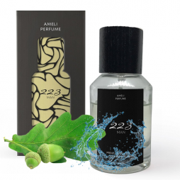 Туалетна вода Invictus (Paco Rabanne) Ameli Premium