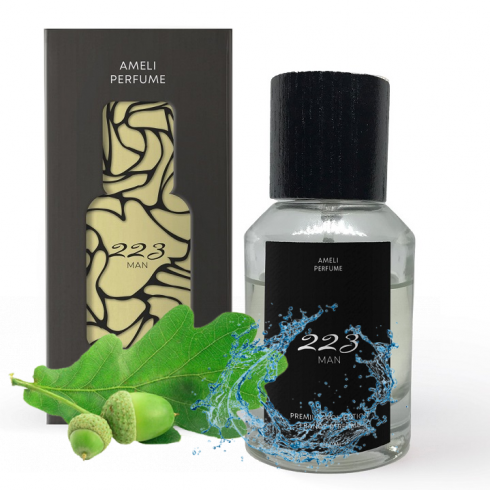 Туалетна вода Invictus (Paco Rabanne) Ameli Premium